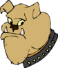 Cartoon Bulldog Head Clip Art